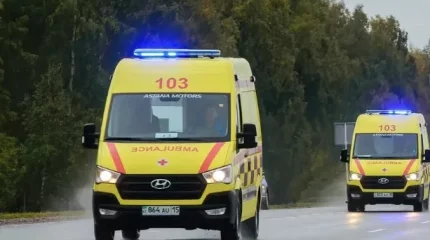 Жамбылские спасатели приняли роды на трассе