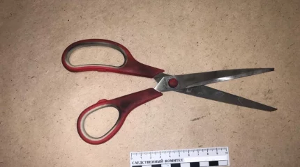 Акмолинка убила бывшего мужа ножницами: суд вынес приговор