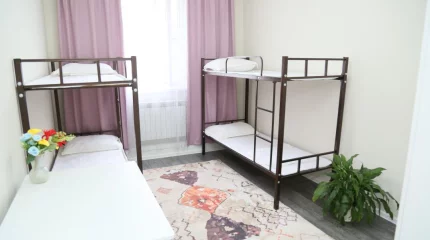 Алматыда студенттерді жатақханамен қамтамасыз ету үшін Ахуалдық орталық ашылды