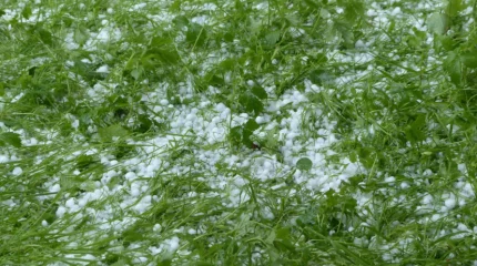 Град настиг туристов с детьми на острове Алаколя