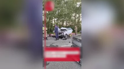 Көкшетауға көлікпен бағыт алған отбасы мүшелері жол апатынан қаза тапты