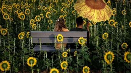 От +5 до +40: каким будет август в Казахстане