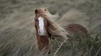 Ветрено в Астане и Шымкенте: погода в мегаполисах в среду, 6 августа