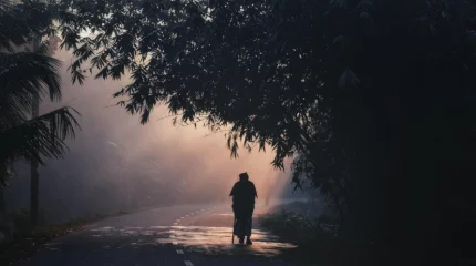 Живописно, но опасно: как сохранить жизнь в условиях тумана на дороге