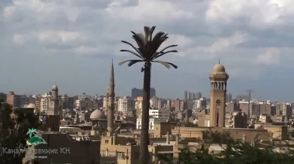 "Мысырда қамауға алынған студенттерге көмек көрсетіліп жатыр", - ҚР СІМ