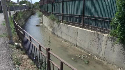 Зеленая вода в реке Каргалы в Алматы озадачила экологов