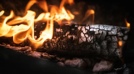 Турция закрыла движение судов через пролив Дарданеллы из-за лесных пожаров