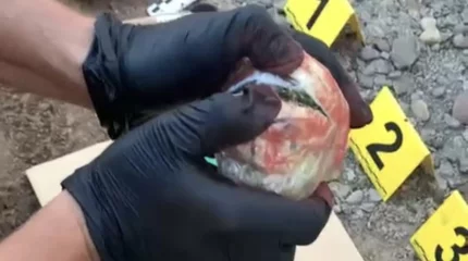 Наркокурьер-неудачник попался у колонии в ВКО