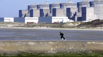 Французскую АЭС приостановили из-за нашествия медуз