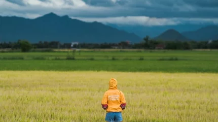 Середина недели с сюрпризом: синоптики предупредили о грозах и жаре