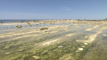 Как спасти Каспий от обмеления обсудили экологи в Актау