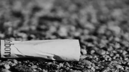 Добавлять окурки при укладке асфальта предложили в Европе