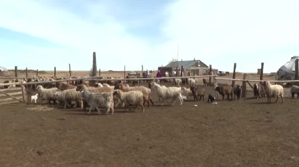 Ұлытау облысында “Отбасылық ферма” жобасы іске қосылды