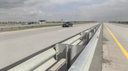 Екі көлік бетпе-бет соғысып, жүргізушілері көз жұмды