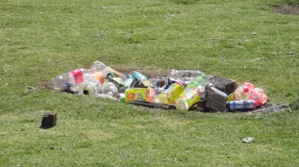 "Таза бейсенбі" табиғатты аялауға және экологиялық мәдениетті арттыруға шақырады