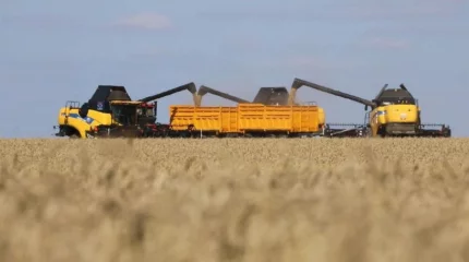 Егін жинау: Президент тапсырмалары қалай орындалуда?