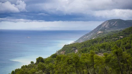 Моря Европы бьют температурные рекорды: опасное тепло под поверхностью