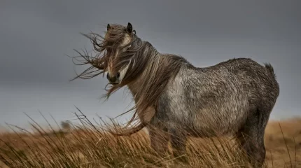 Резкое ухудшение погоды прогнозируют в Казахстане