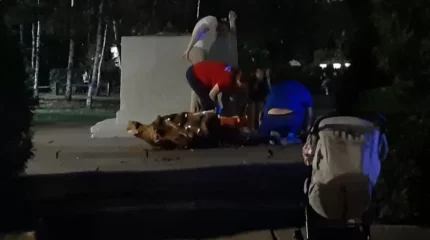 «Кот учёный» насмерть придавил ребёнка в России