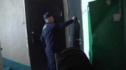 30 жастағы қыз анасын пышақтап өлтірді