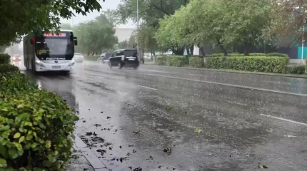 «Город поплыл»: улицы, подвалы и дворовые территории затопило в Петропавловске