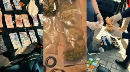Полиция изъяла марихуану в Павлодарской области (ВИДЕО)