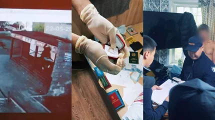 Камеры помогли задержать серийного квартирного вора в Караганде (ВИДЕО)