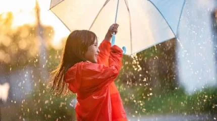 Сильные дожди обрушатся на север: прогноз погоды на три дня