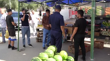 Мектеп оқушыларын жұмысқа жегіп, заңды аяқасты қылғандар кім?