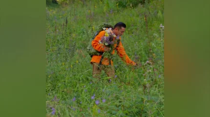 Бір дәріге 40-тан аса шөп қосылады