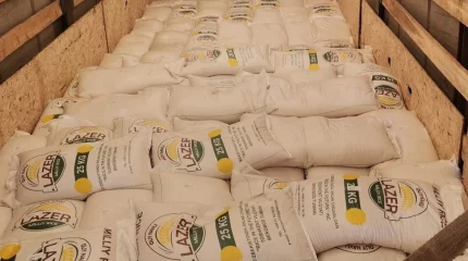 22 тонны «безымянного» риса развернули на границе Челябинской области