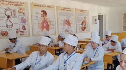 Стипендии студентов незаконно присваивали в медколледже Шымкента