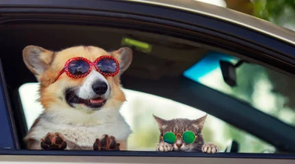 Жара, ветер, туманы: погода в мегаполисах в воскресенье, 24 августа