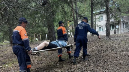 Женщина получила травму при сборе грибов в Каркаралинске