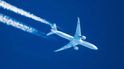 Из-за пассажира с галлюцинациями пришлось развернуть самолёт из Франции