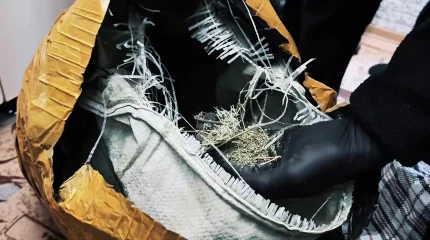 К 8-ми годам лишения свободы приговорили организаторов наркошопа в Костанае