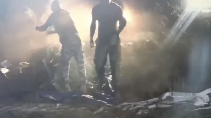 Жамбылцев с 200 килограммами марихуаны задержали полицейские