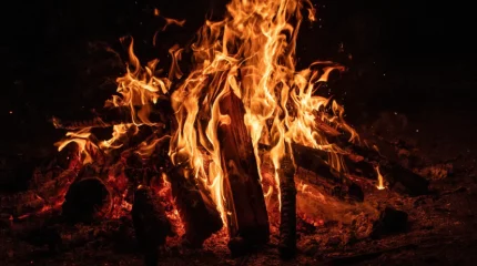 Казахстанцев призвали не разжигать костры