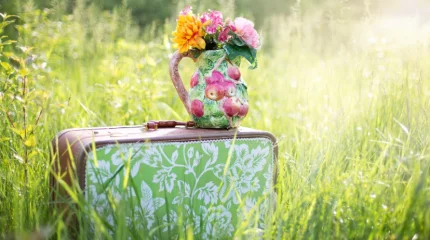 Казахстан охватят жара и дожди — свежий прогноз на 28 августа