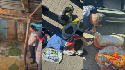 МВД: с начала года из незаконного оборота изъято более 11 тонн наркотиков (ВИДЕО)