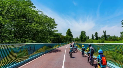 МВД предлагает сделать уроки ПДД обязательным предметом в школах