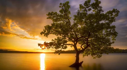 Жаркий конец августа: что ждать 29 августа в Астане, Алматы и Шымкенте