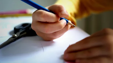 25,3 млрд теңге ата-аналардың есепшотына аударылды: «Жалпыға бірдей білім беру қоры» арқылы оқушылар 100% қамтылды