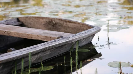 Пьяная лодочная прогулка обернулась поисками МЧС в Жамбылской области