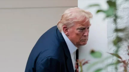 Трамп уволил рабочих из-за трещины в камне у Белого дома