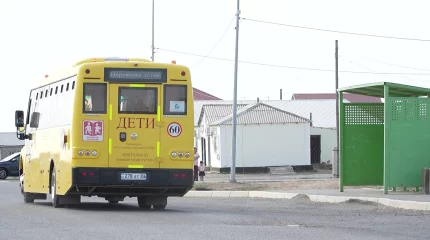 10-дағы жеткіншек ауруханаға барар жолда, жедел-жәрдем көлігінде қаза тапты