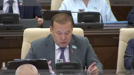 Депутат предложил усилить наказание, вплоть до уголовного за двойное гражданство