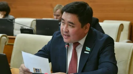 Депутат жалақыны көбейтуді талап етті