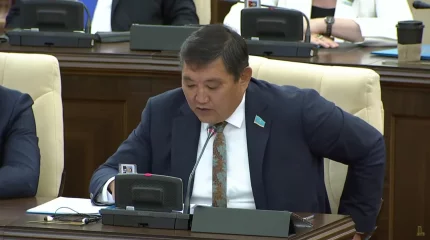 «Алматыға қауіп төніп тұр» - депутат