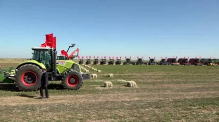 Қызылордалық диқандар күрішке орақ салды